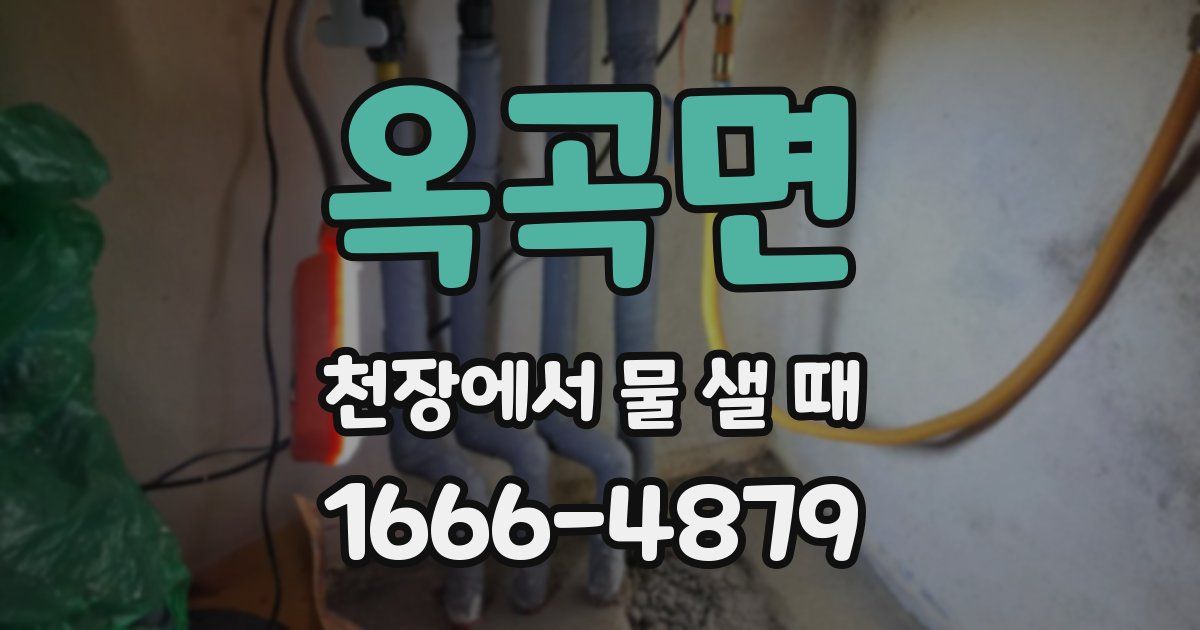 옥곡면 천장에서 물 샐 때