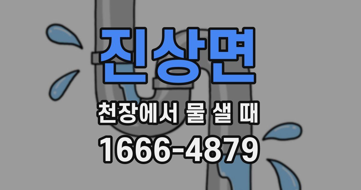 진상면 천장에서 물 샐 때