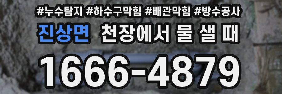 진상면 천장에서 물 샐 때