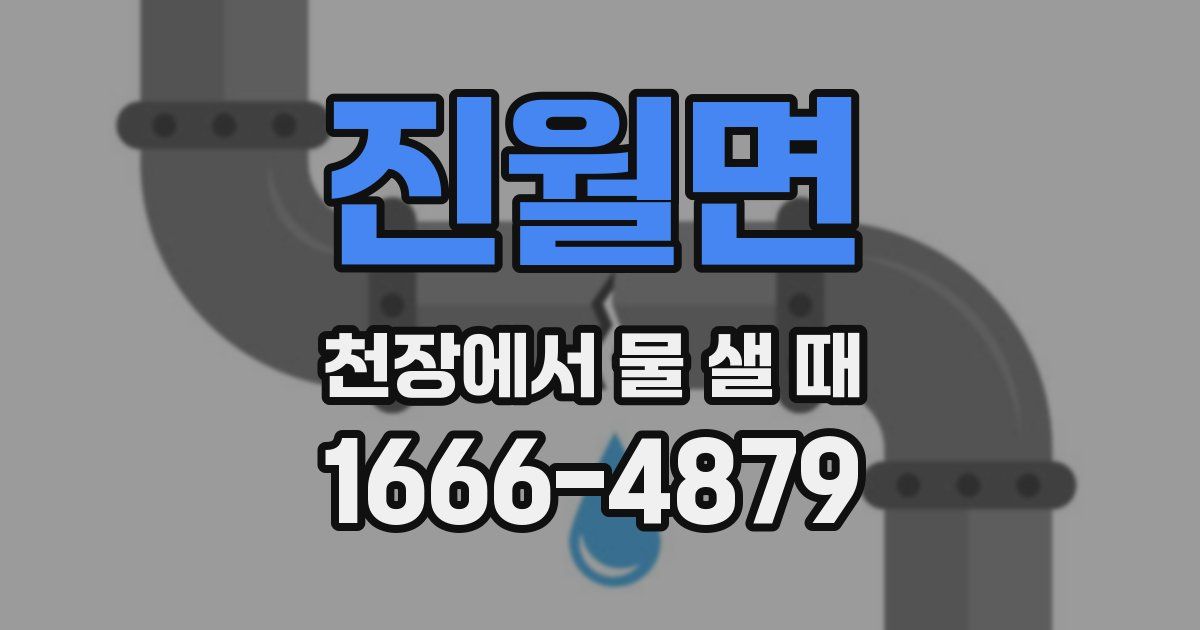 진월면 천장에서 물 샐 때