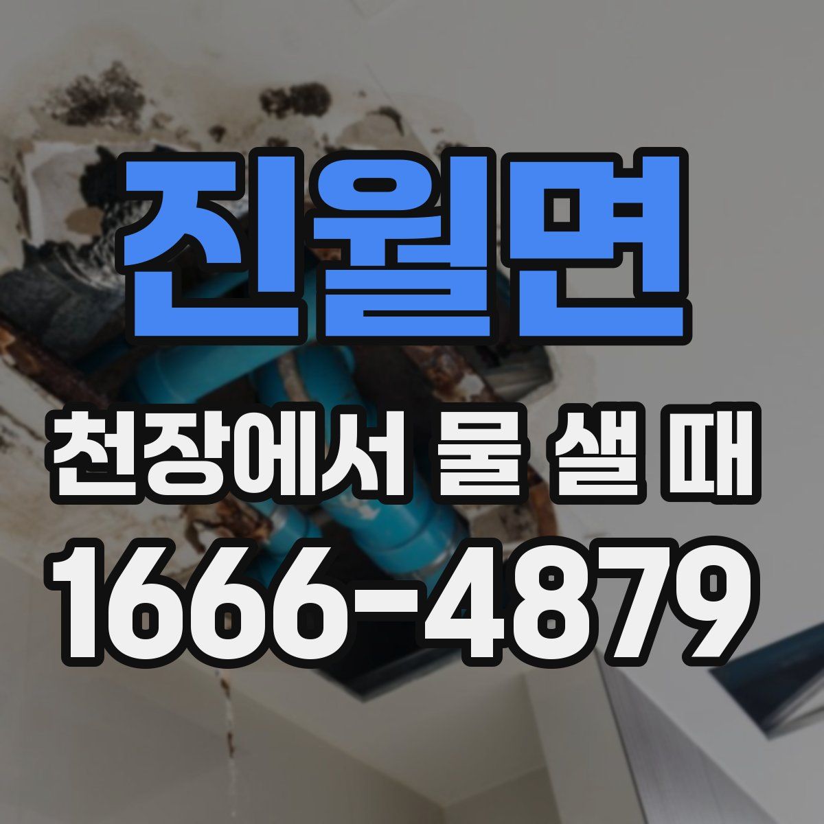 진월면 천장에서 물 샐 때