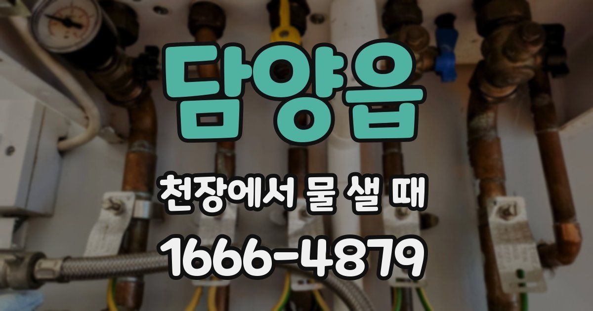 담양읍 천장에서 물 샐 때