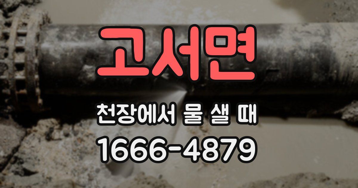 고서면 천장에서 물 샐 때