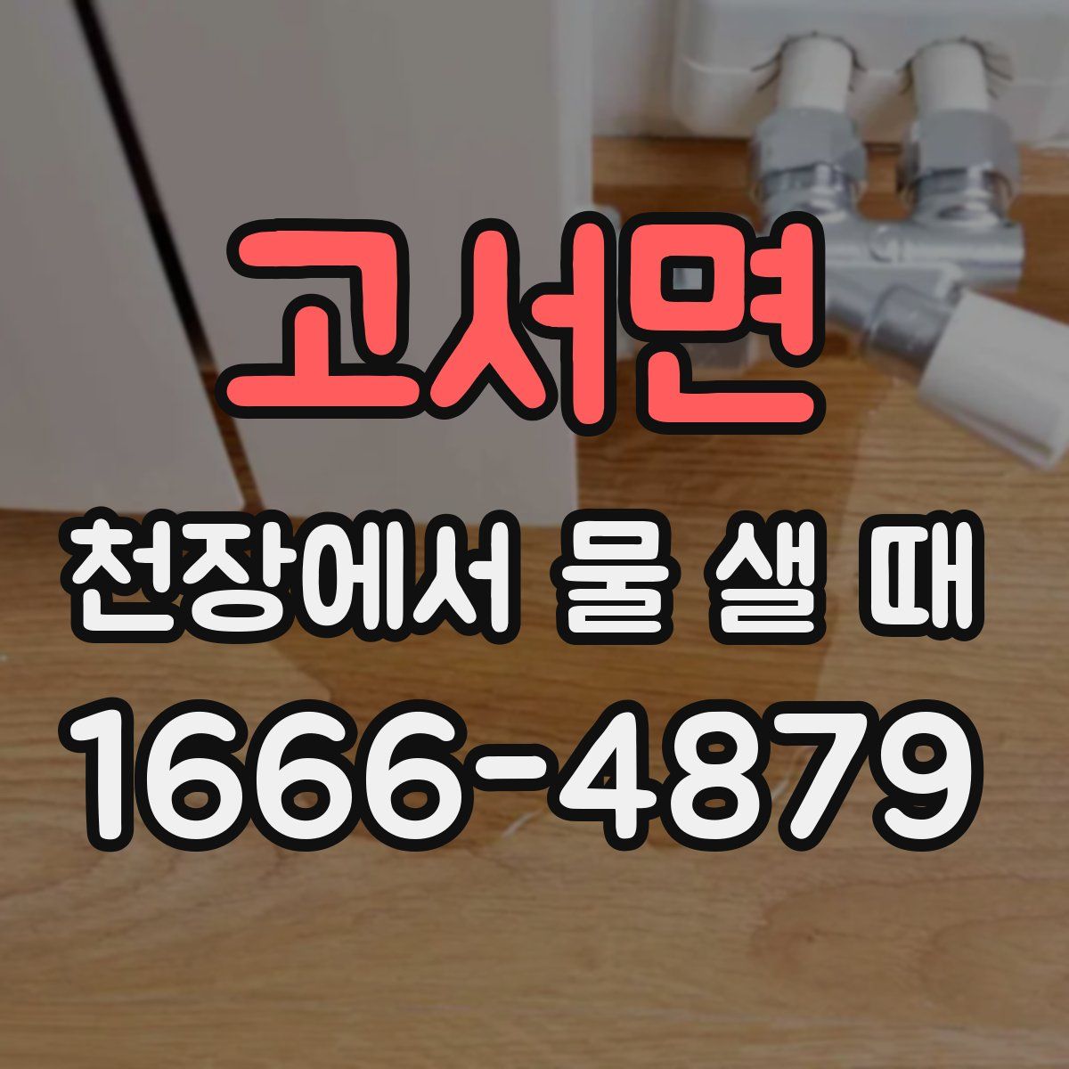 고서면 천장에서 물 샐 때