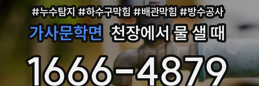가사문학면 천장에서 물 샐 때