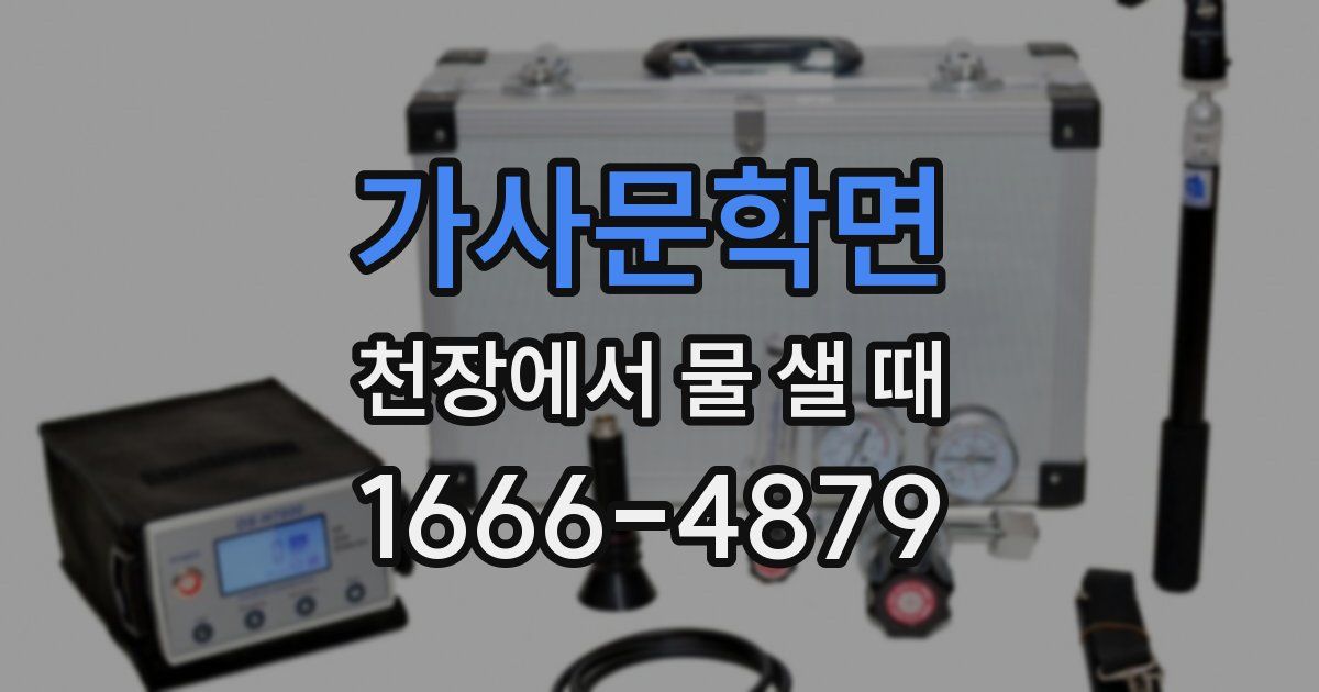가사문학면 천장에서 물 샐 때