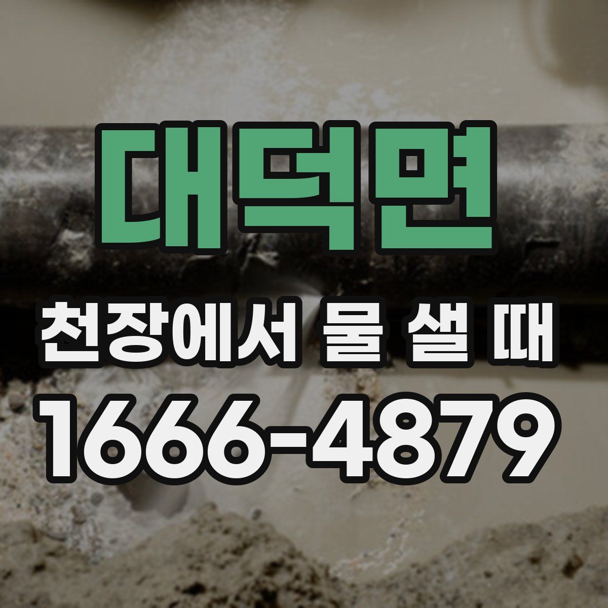 대덕면 천장에서 물 샐 때