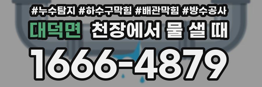 대덕면 천장에서 물 샐 때