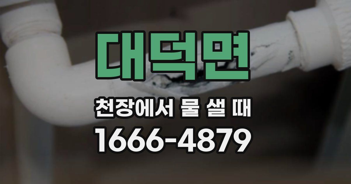 대덕면 천장에서 물 샐 때