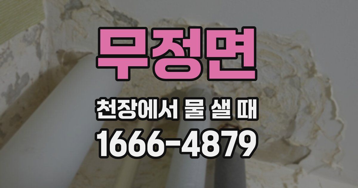무정면 천장에서 물 샐 때