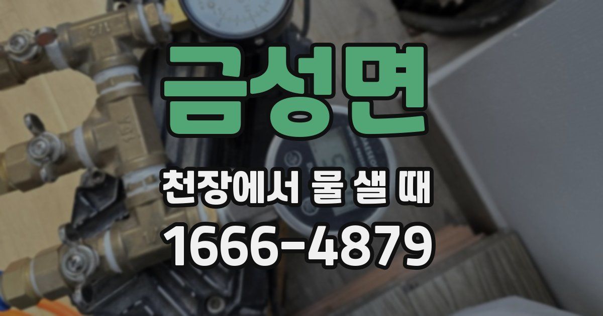 금성면 천장에서 물 샐 때