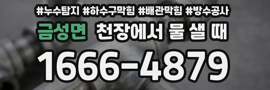 금성면 천장에서 물 샐 때