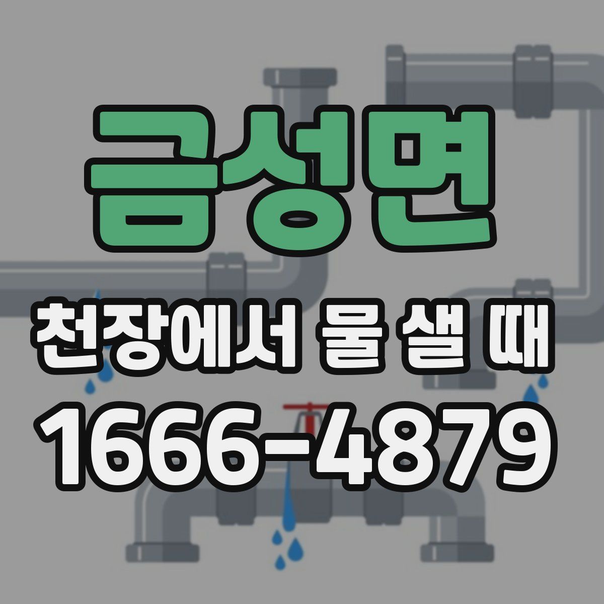금성면 천장에서 물 샐 때