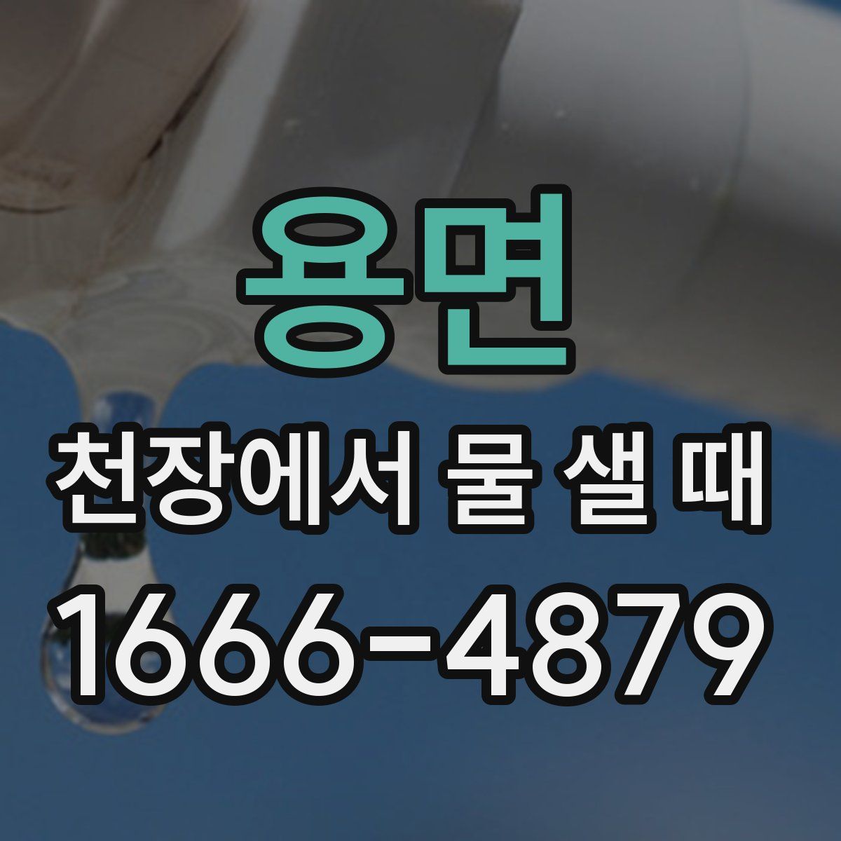 용면 천장에서 물 샐 때