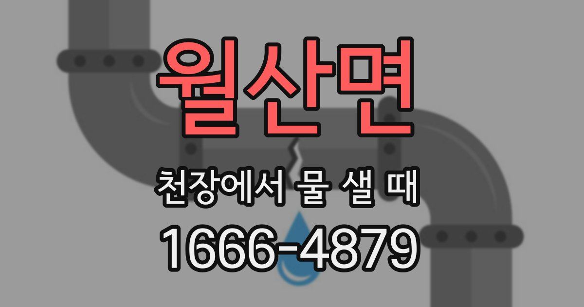 월산면 천장에서 물 샐 때