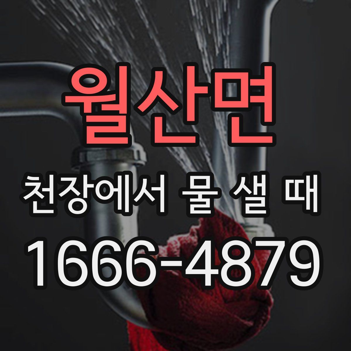 월산면 천장에서 물 샐 때
