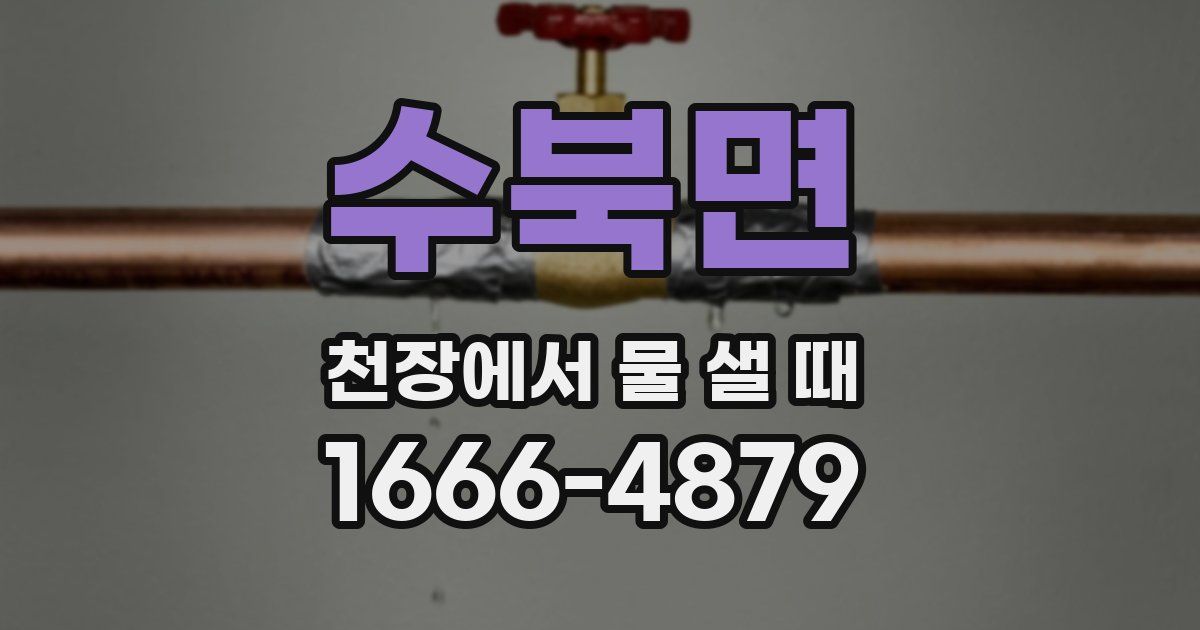 수북면 천장에서 물 샐 때