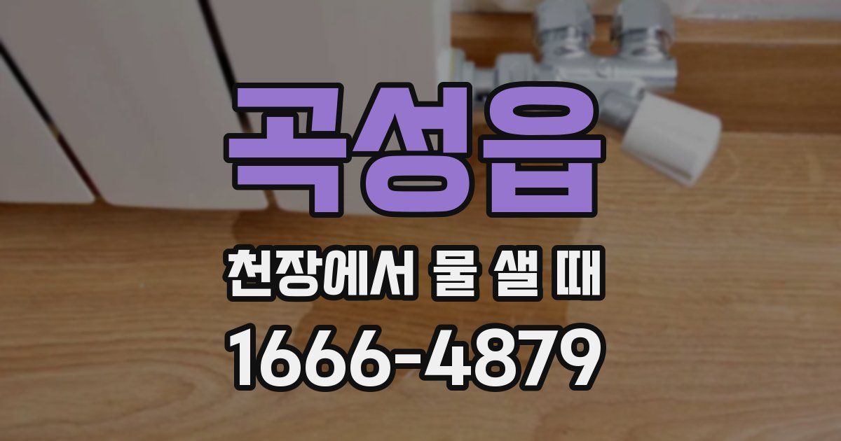 곡성읍 천장에서 물 샐 때