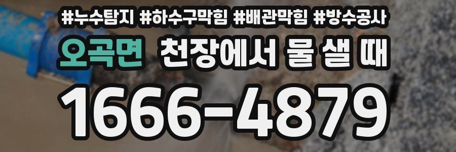 오곡면 천장에서 물 샐 때