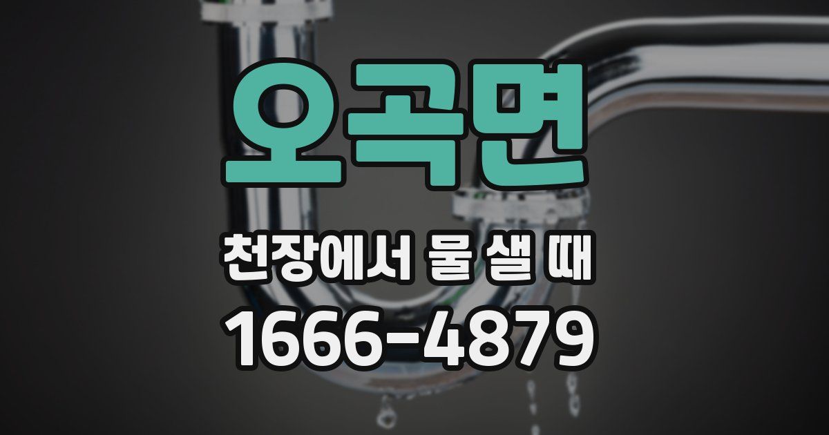 오곡면 천장에서 물 샐 때
