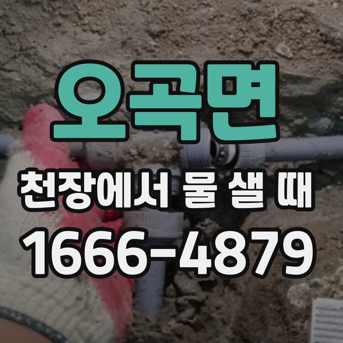오곡면 천장에서 물 샐 때