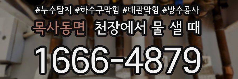 목사동면 천장에서 물 샐 때