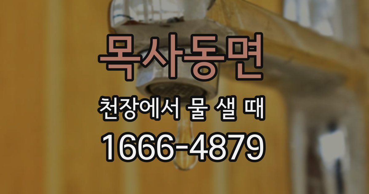 목사동면 천장에서 물 샐 때
