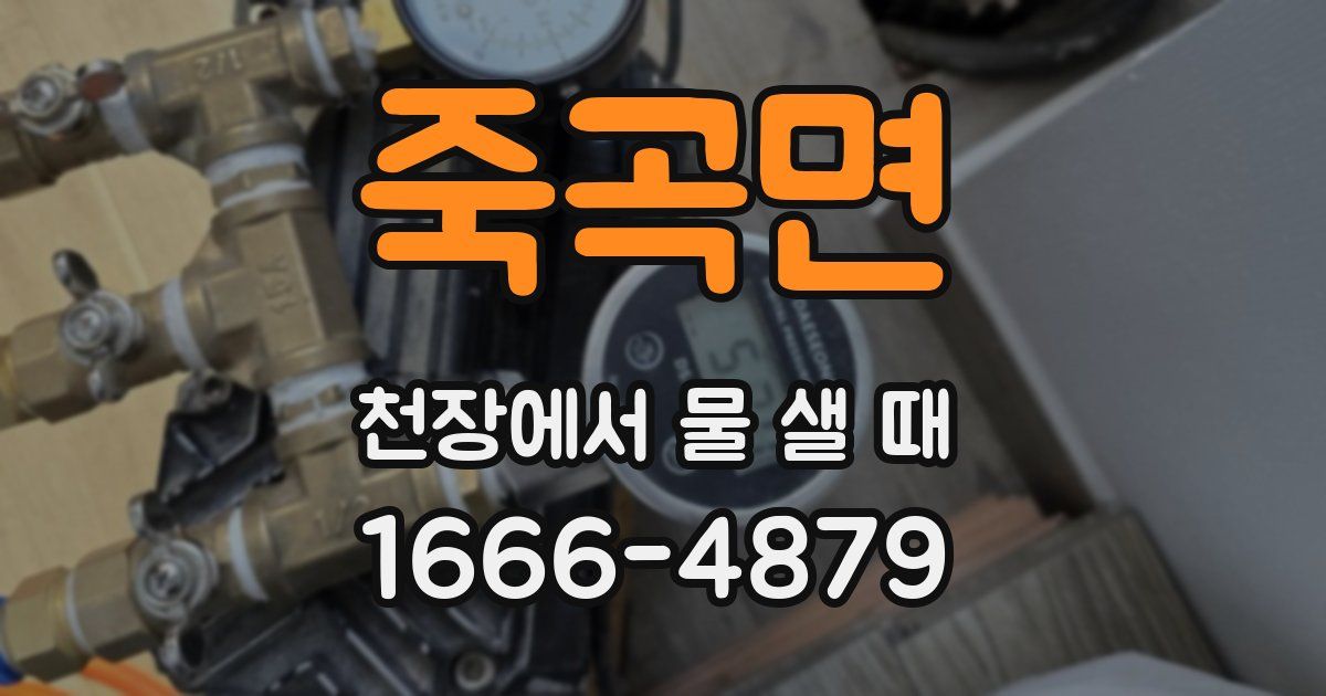 죽곡면 천장에서 물 샐 때