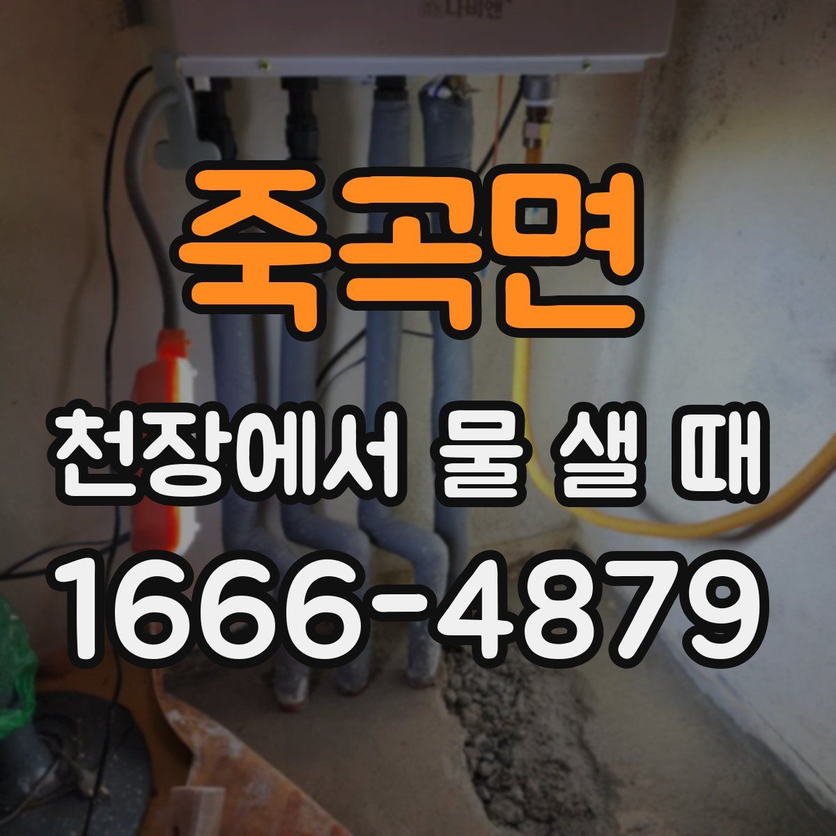 죽곡면 천장에서 물 샐 때
