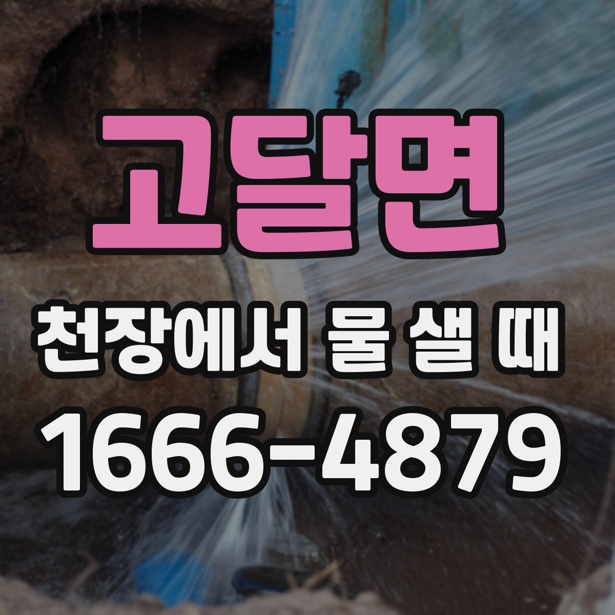고달면 천장에서 물 샐 때