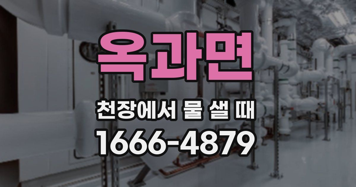 옥과면 천장에서 물 샐 때