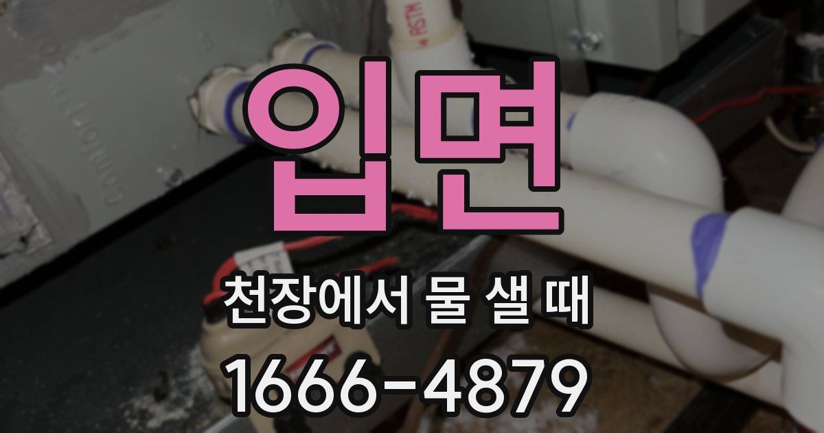 입면 천장에서 물 샐 때