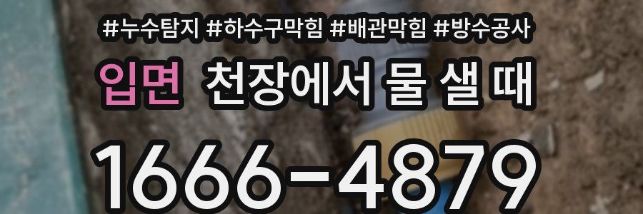 입면 천장에서 물 샐 때