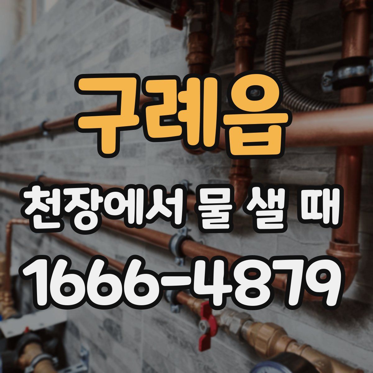 구례읍 천장에서 물 샐 때