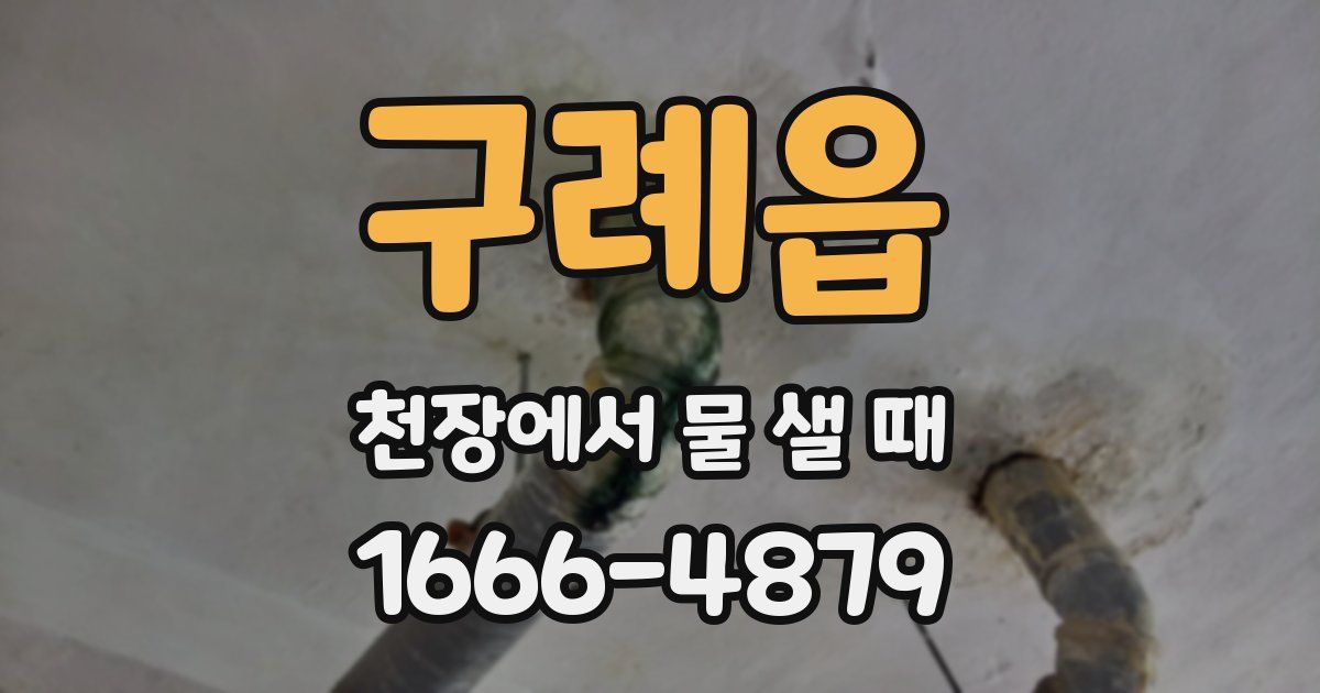 구례읍 천장에서 물 샐 때