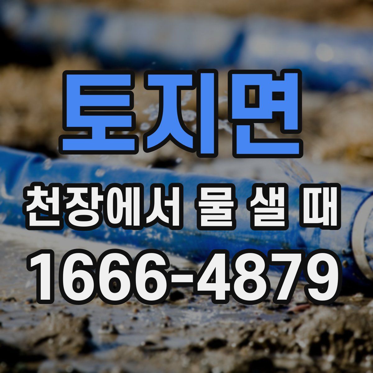 토지면 천장에서 물 샐 때