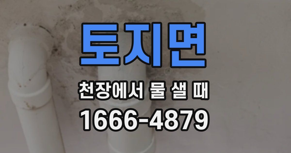 토지면 천장에서 물 샐 때