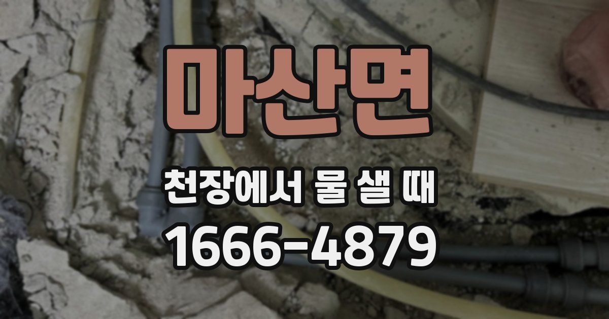 마산면 천장에서 물 샐 때