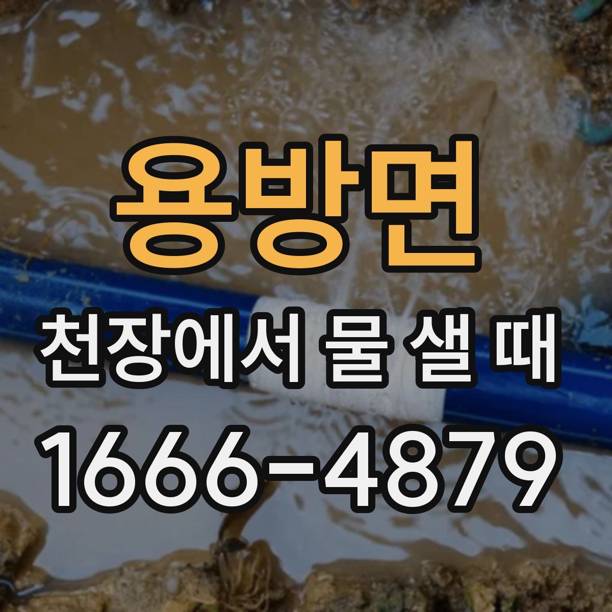 용방면 천장에서 물 샐 때