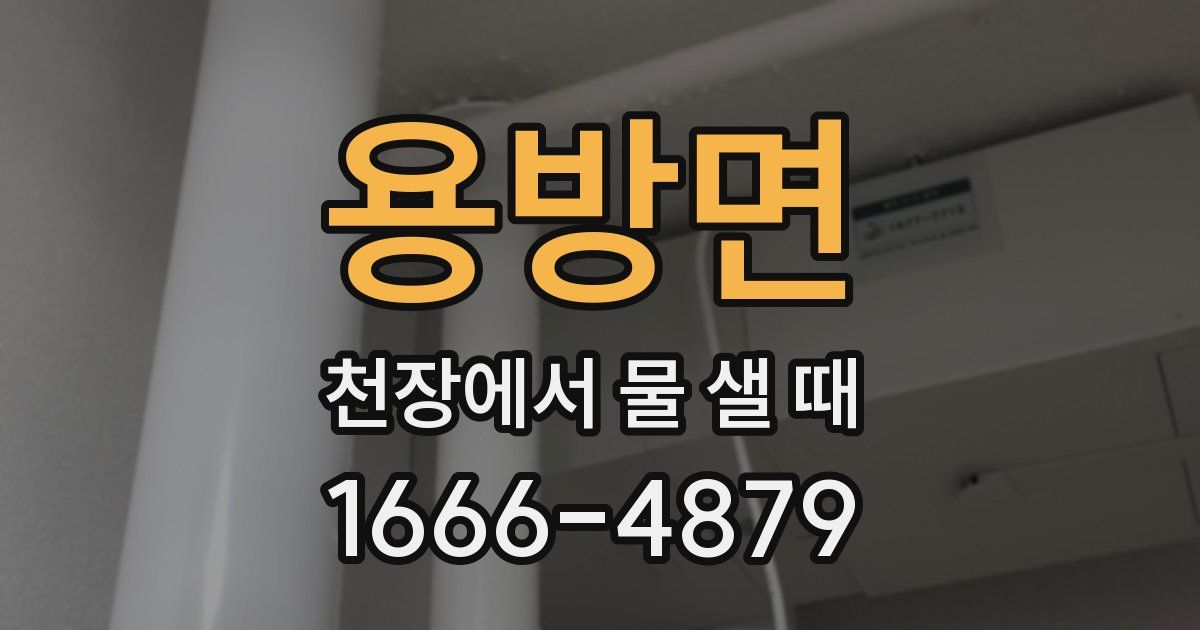 용방면 천장에서 물 샐 때