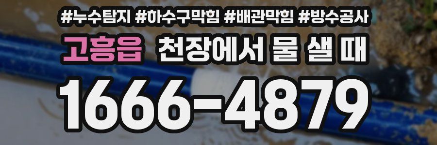 고흥읍 천장에서 물 샐 때