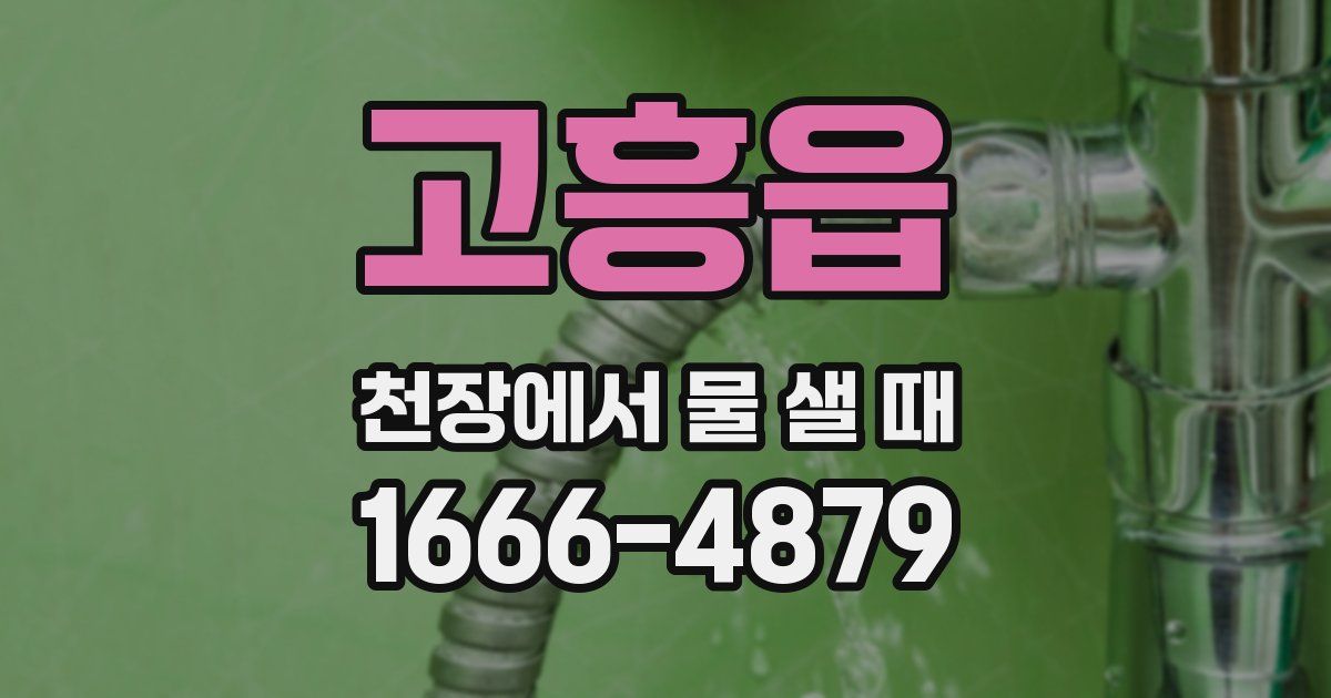 고흥읍 천장에서 물 샐 때
