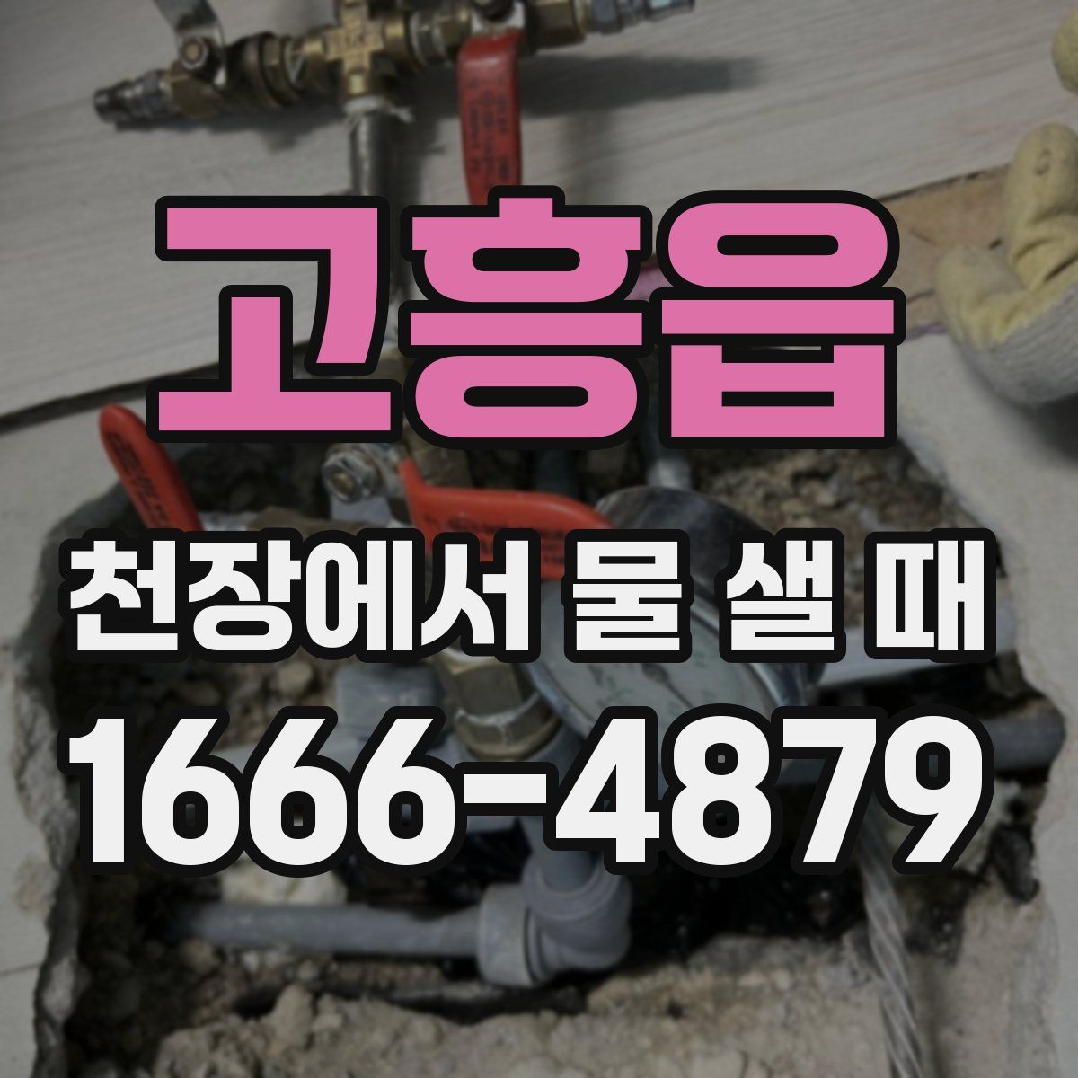 고흥읍 천장에서 물 샐 때