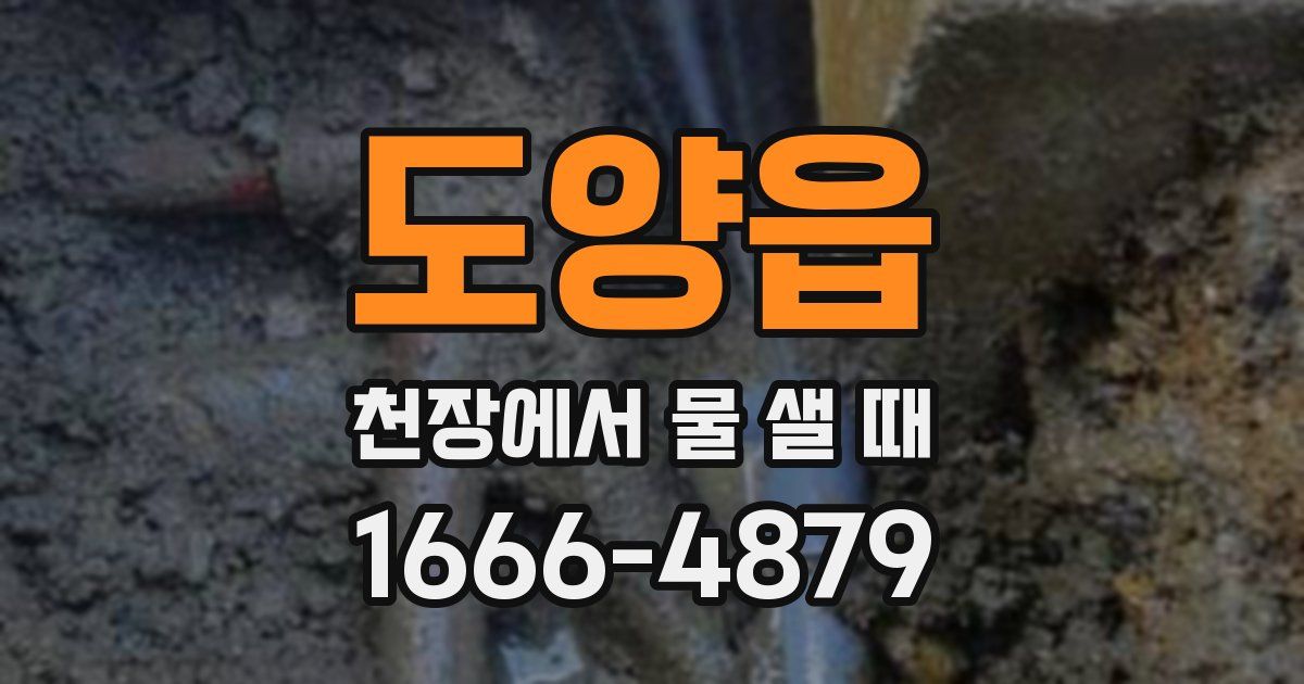 도양읍 천장에서 물 샐 때
