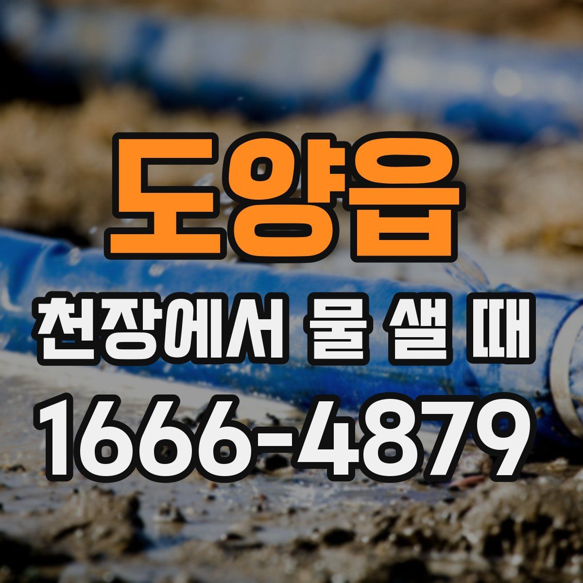 도양읍 천장에서 물 샐 때
