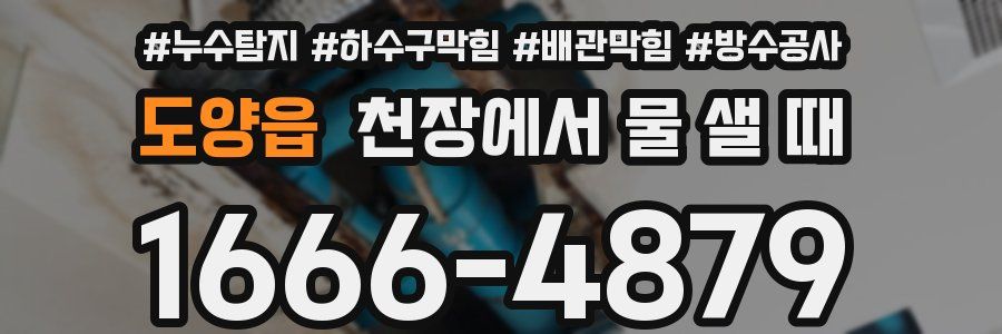 도양읍 천장에서 물 샐 때