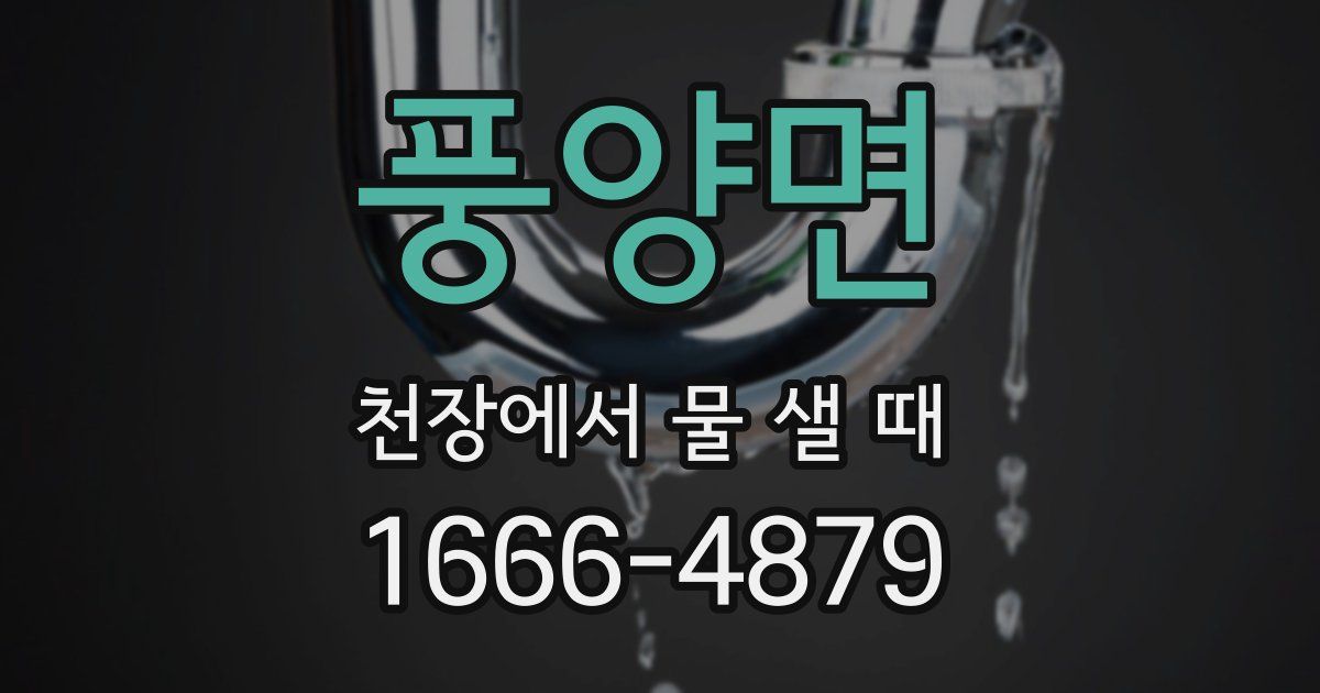 풍양면 천장에서 물 샐 때
