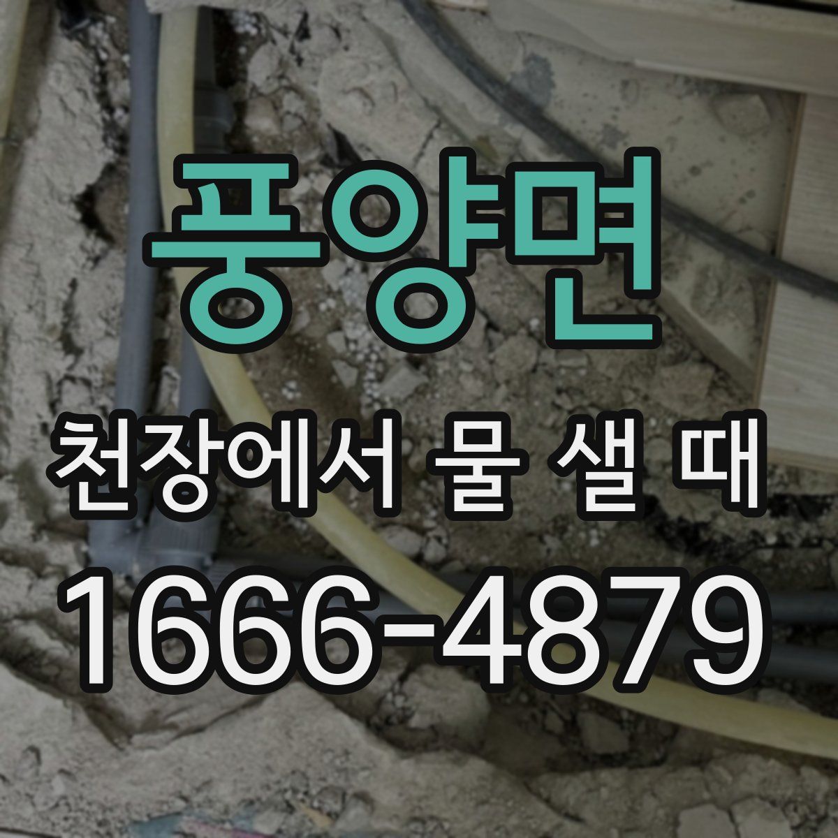 풍양면 천장에서 물 샐 때