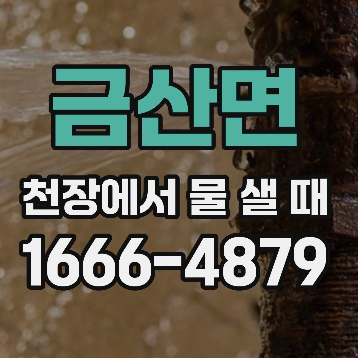 금산면 천장에서 물 샐 때