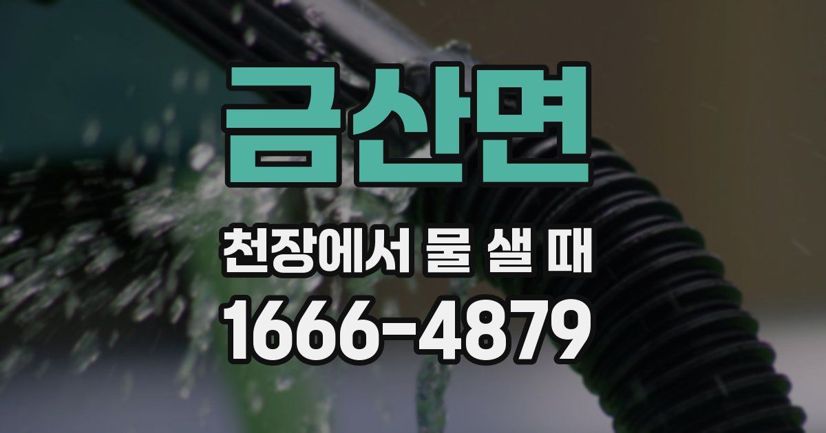 금산면 천장에서 물 샐 때